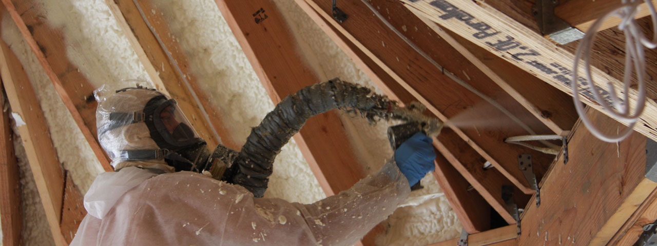 Guelph Ontario Attic Insulation Spray Foam